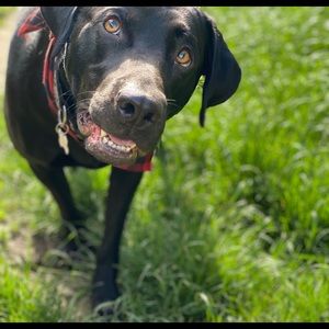 Meet your Posher, Bradley